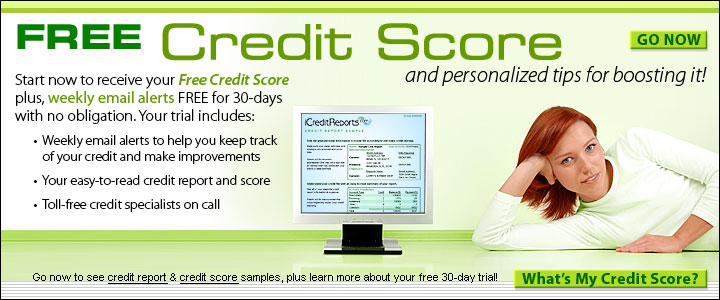 Michigan Free Credit Report